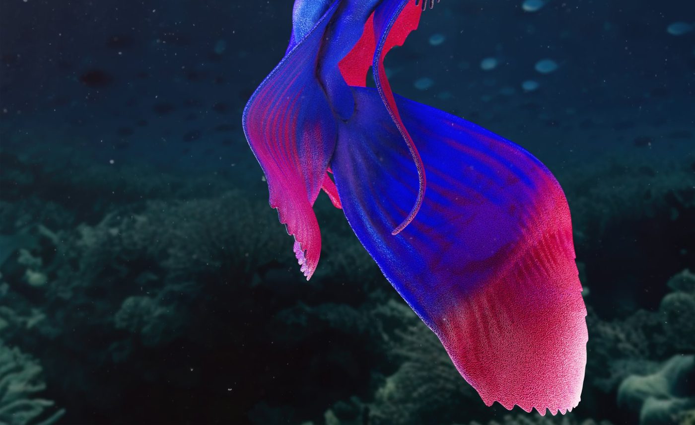 A figure with a tail in dark water above seabed and small fish